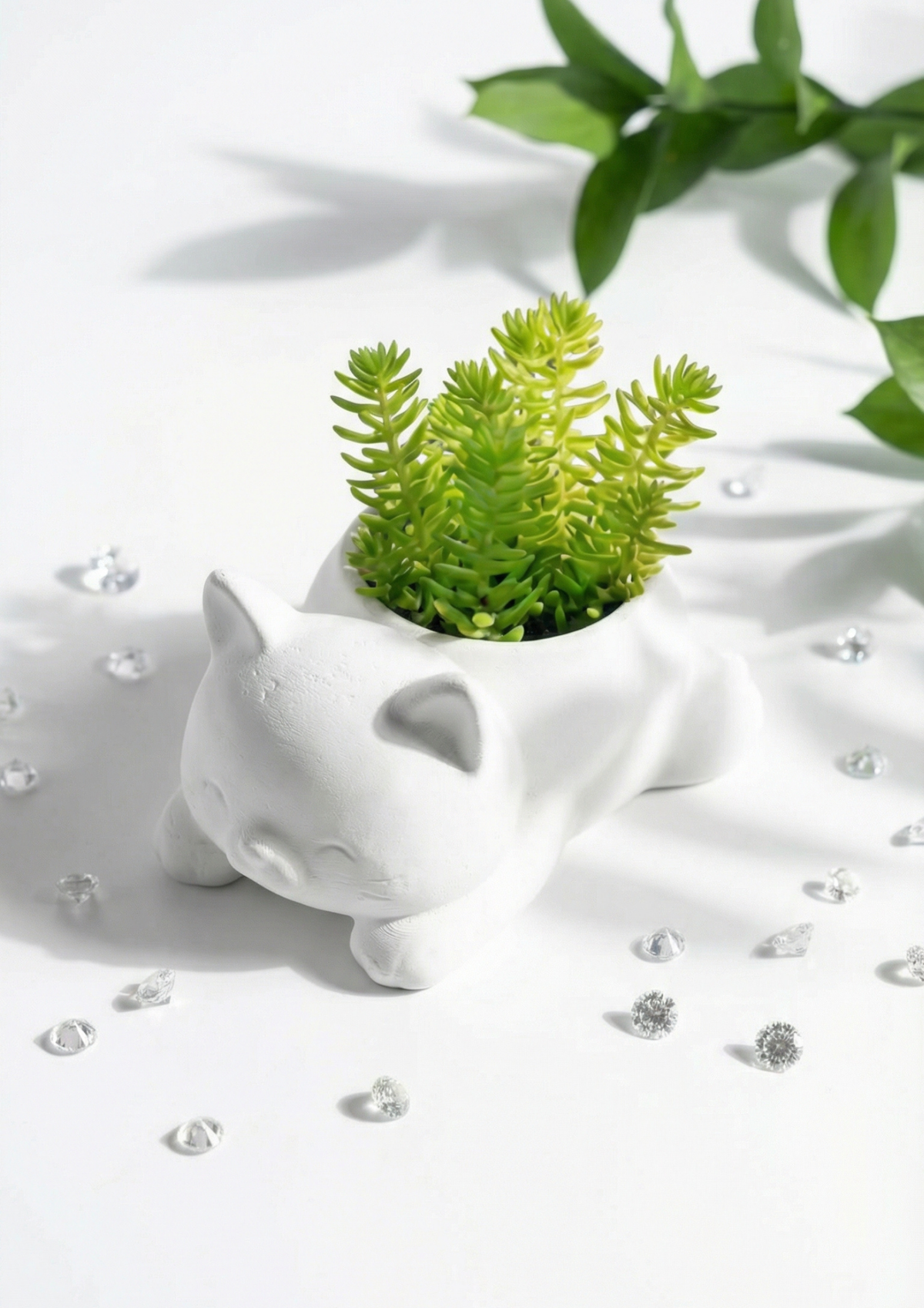 Cute Cat Figurine Sedum Rupestre Succulent