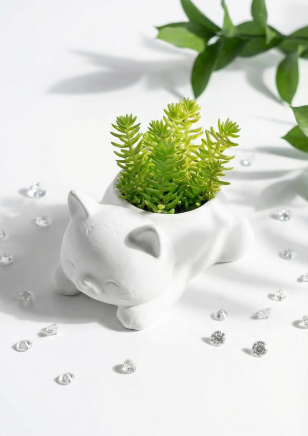 Cute Cat Figurine Sedum Rupestre Succulent