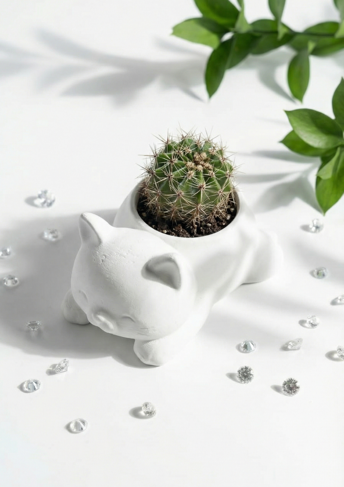 Cute Cat Figurine Echinopsis Obrepanda Cactus