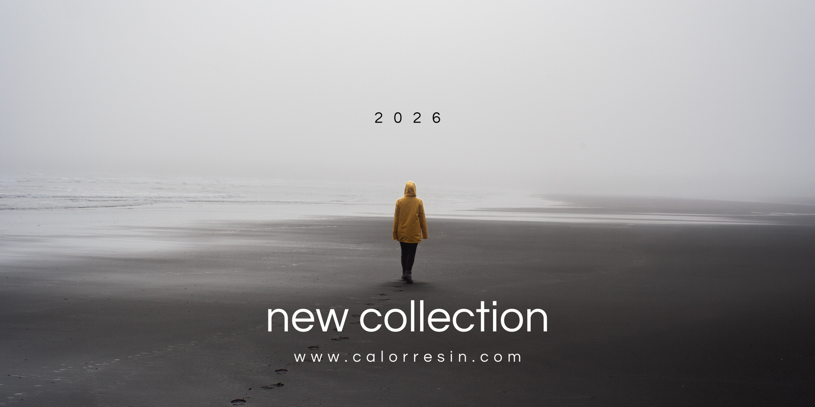 Discover The Collection