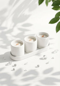 Hindistan Cevizi Aromalı 3lü Mum Seti